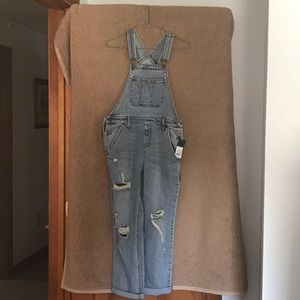 Wild Fable Overalls